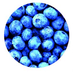 Adesivo per Freestyle Libre Blueberry 